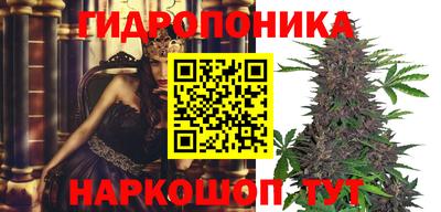 стафф Кимры