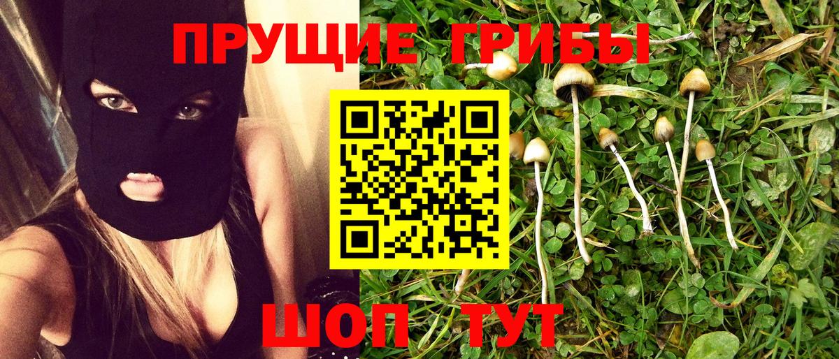Крымск  Галлюциногенные грибы мухоморы  Галлюциногенные грибы мухоморы  Вход с VPN 
